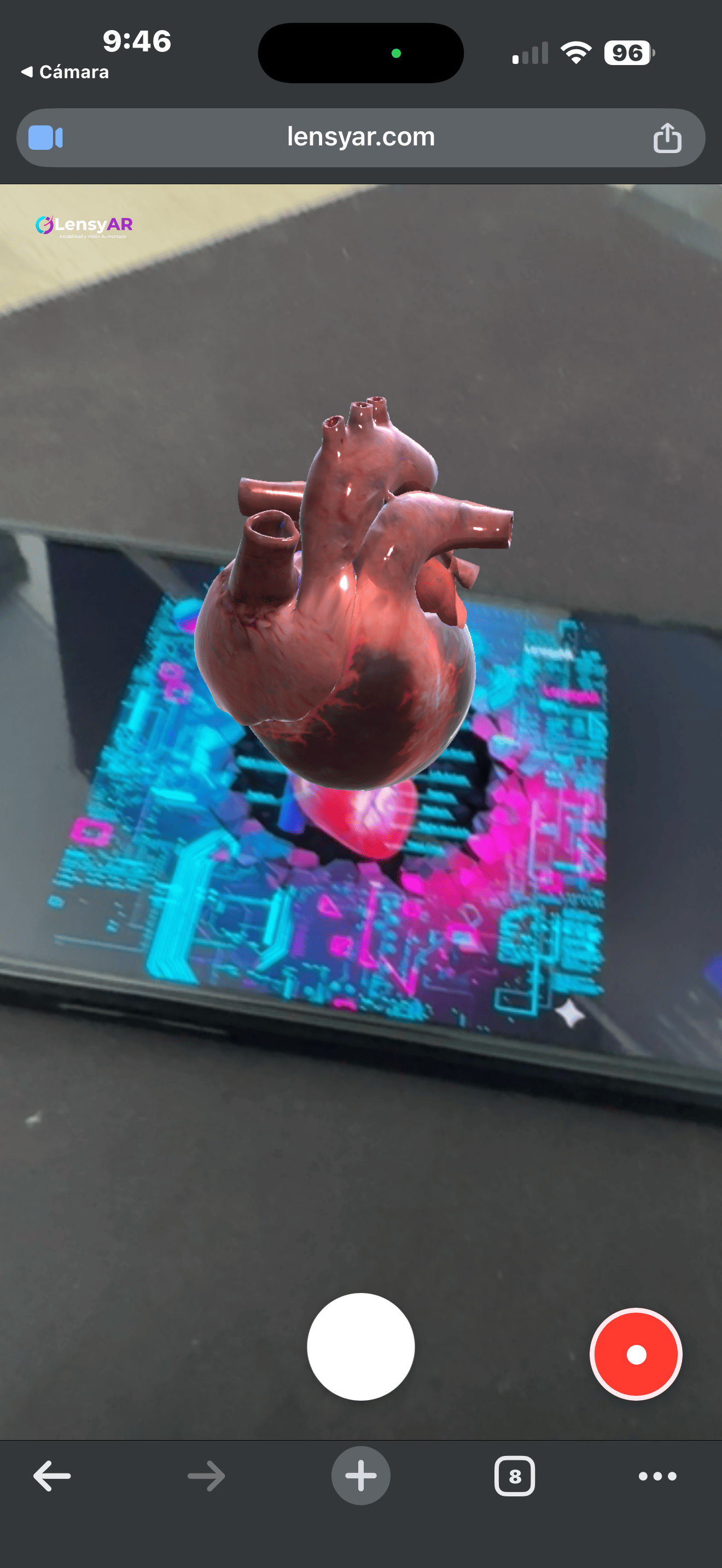 Modelo 3D anatómico de un corazón humano visualizado en Realidad Aumentada con LensyAR Studio sobre una superficie real, capturado desde un iPhone sin instalar app